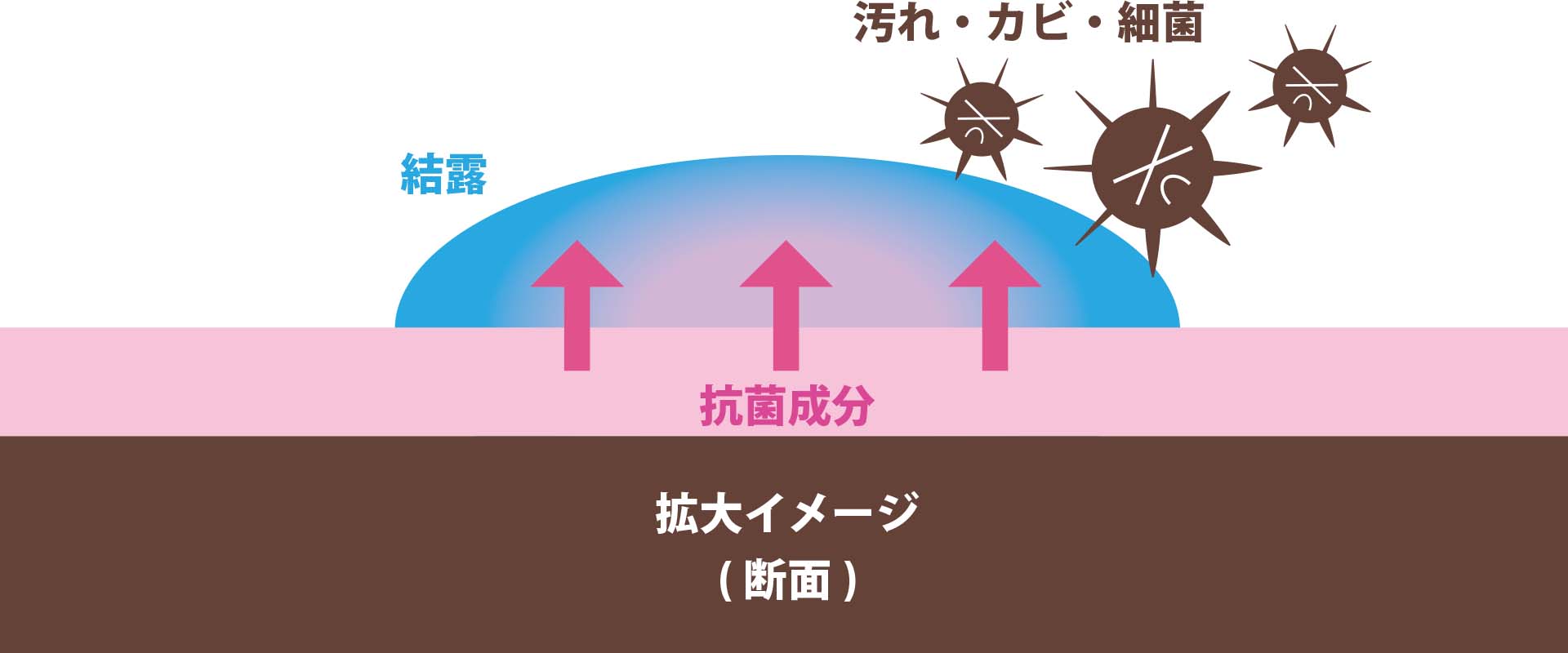抗菌効果が約１年持続